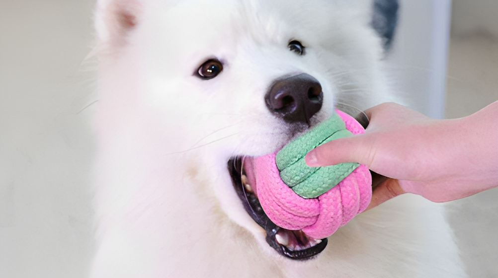 The Best Teething Toys