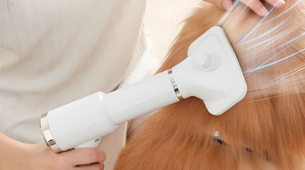 Efficient Dog Grooming: Choosing the Right Dog Hair Dryer