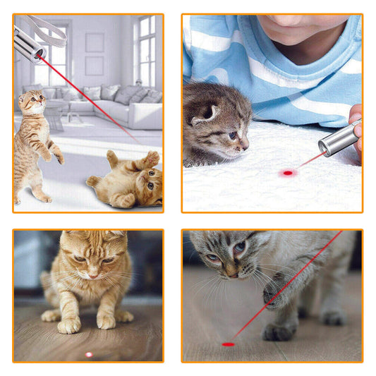 Rechargeable Cat Laser