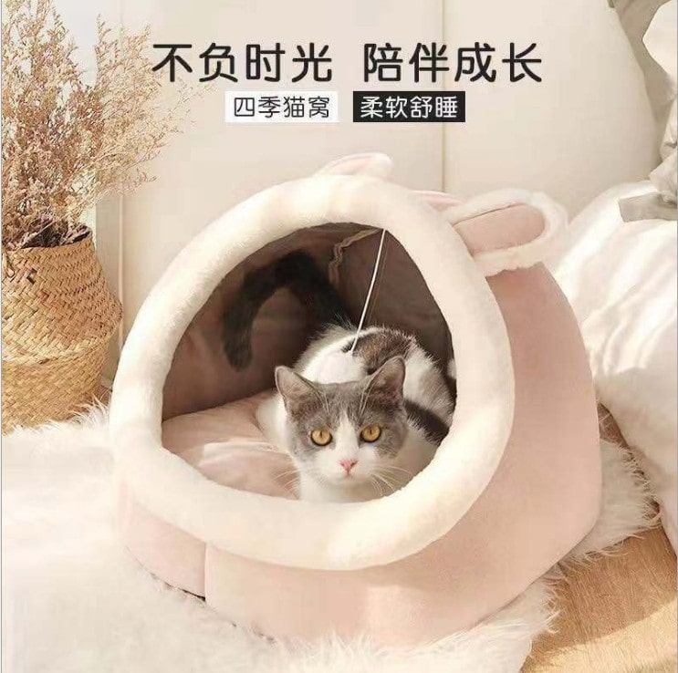 cat litter House